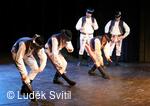 Púčik, folklorní soubor